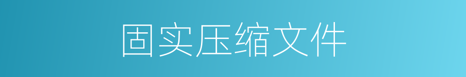 固实压缩文件的同义词