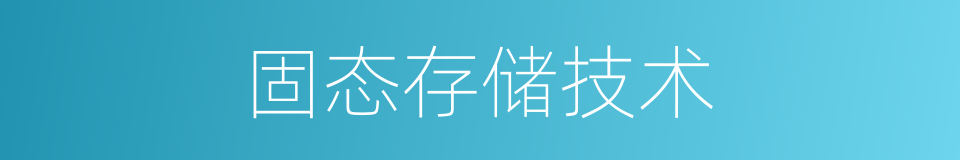 固态存储技术的同义词