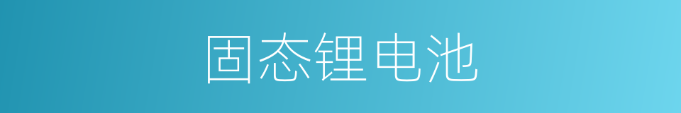 固态锂电池的同义词