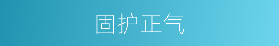 固护正气的同义词