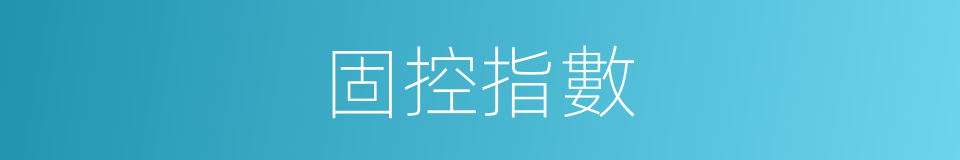 固控指數的同義詞