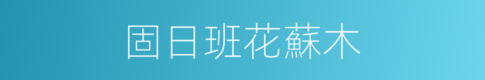 固日班花蘇木的同義詞