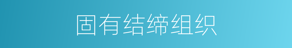固有结缔组织的同义词