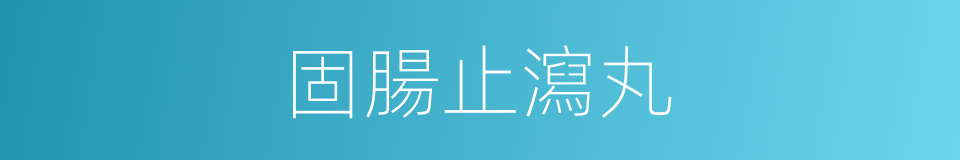 固腸止瀉丸的同義詞