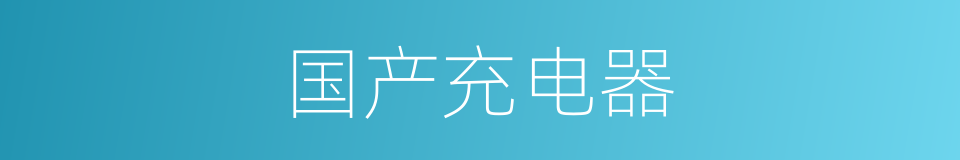 国产充电器的同义词