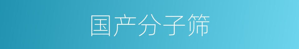 国产分子筛的同义词