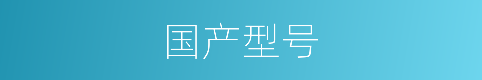 国产型号的同义词