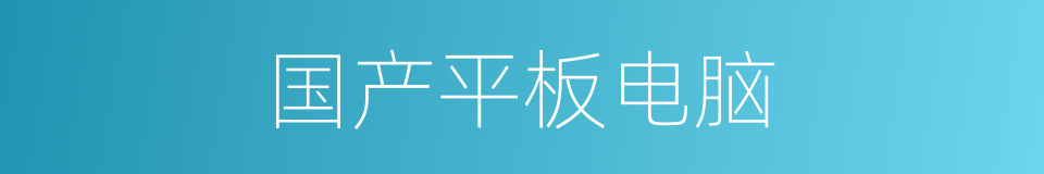 国产平板电脑的同义词