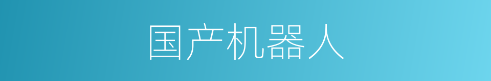 国产机器人的同义词