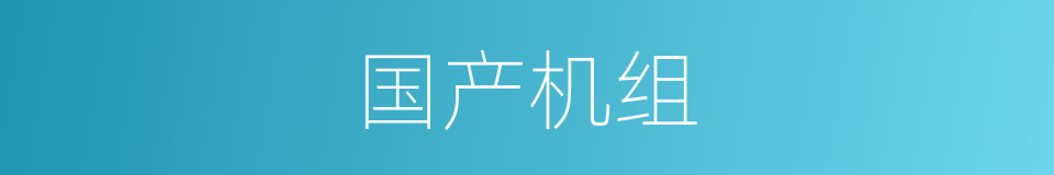 国产机组的同义词