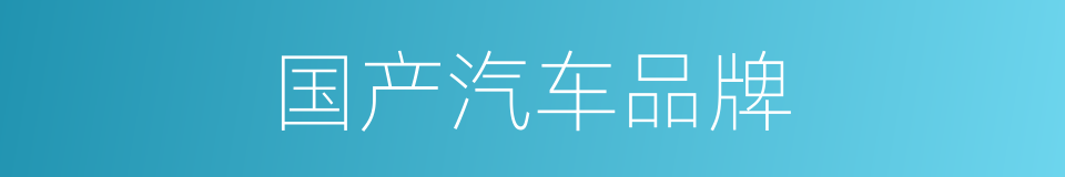 国产汽车品牌的同义词