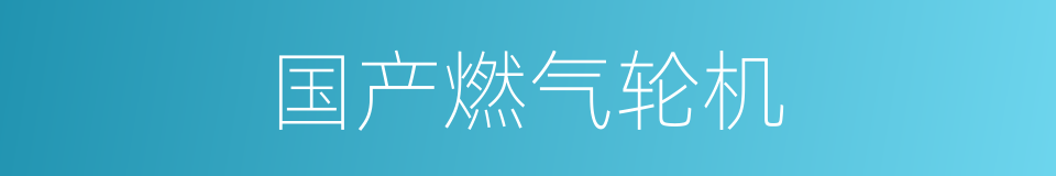 国产燃气轮机的同义词