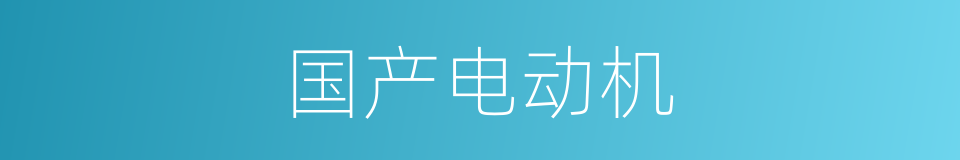 国产电动机的同义词