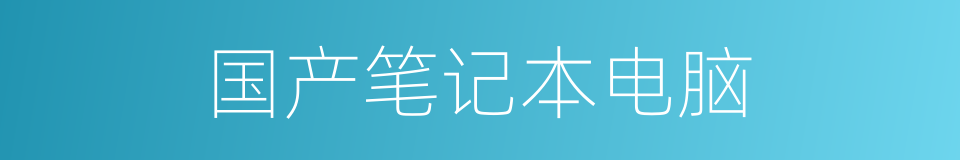 国产笔记本电脑的同义词