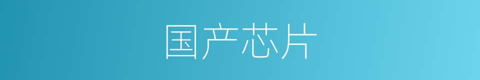 国产芯片的同义词