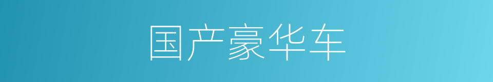 国产豪华车的同义词