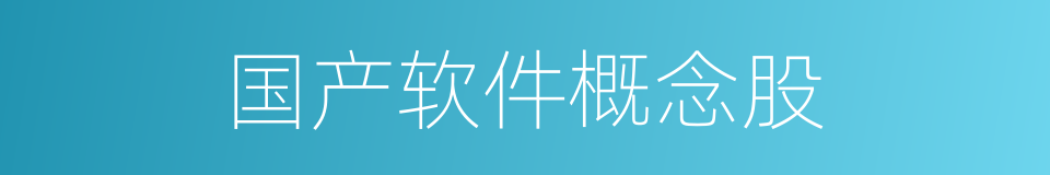 国产软件概念股的同义词