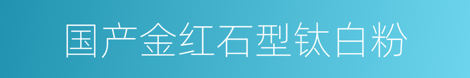 国产金红石型钛白粉的同义词