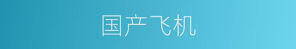 国产飞机的同义词