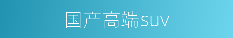 国产高端suv的同义词