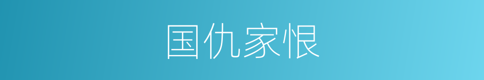 国仇家恨的意思