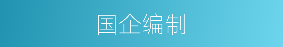 国企编制的意思