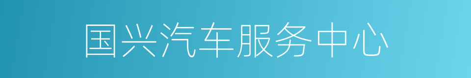 国兴汽车服务中心的同义词
