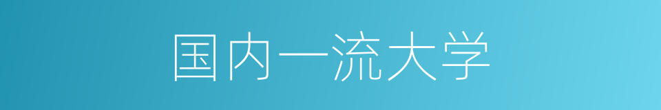 国内一流大学的同义词