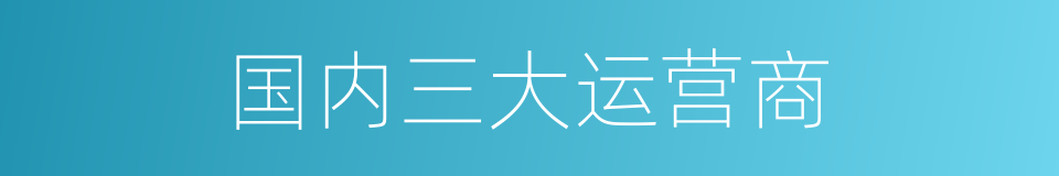 国内三大运营商的同义词