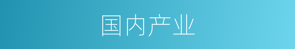 国内产业的同义词