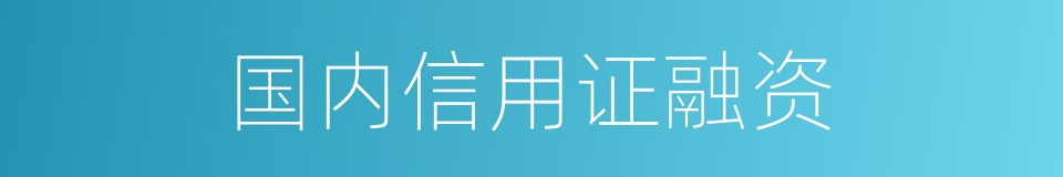 国内信用证融资的同义词