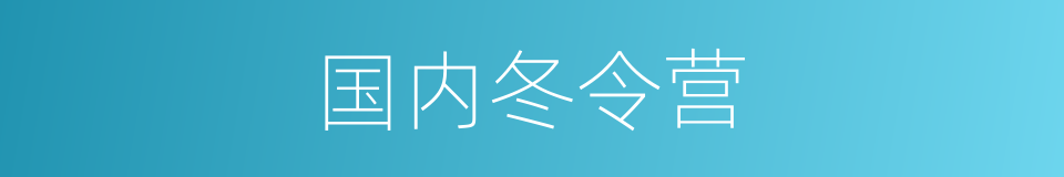 国内冬令营的同义词