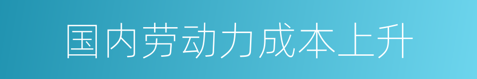 国内劳动力成本上升的同义词