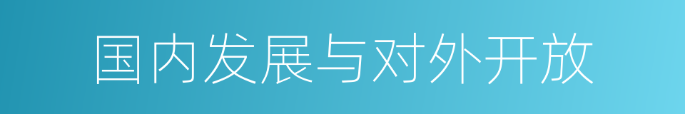 国内发展与对外开放的同义词