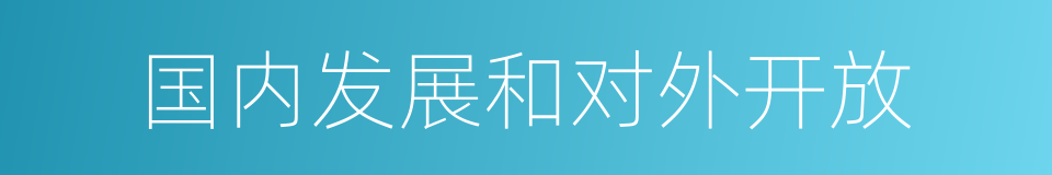 国内发展和对外开放的同义词