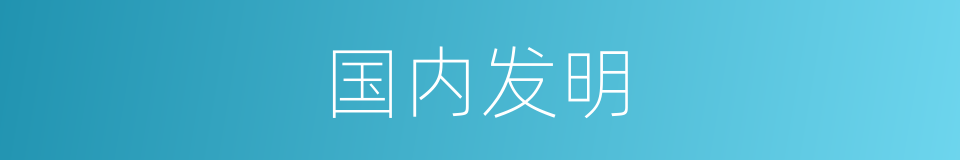 国内发明的同义词