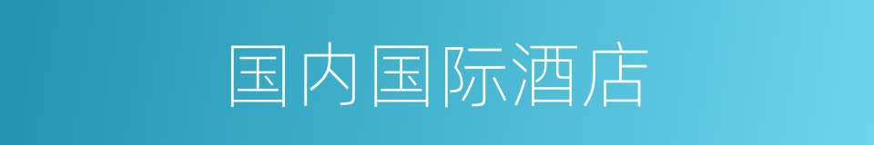 国内国际酒店的同义词