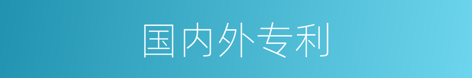 国内外专利的同义词