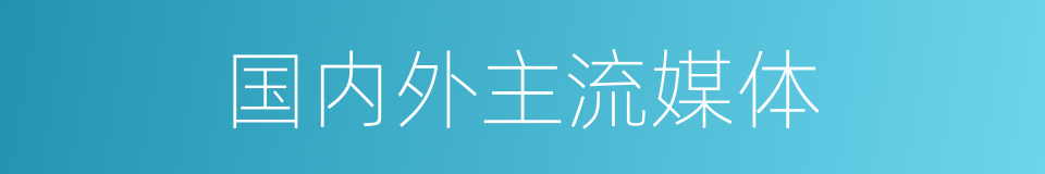 国内外主流媒体的同义词