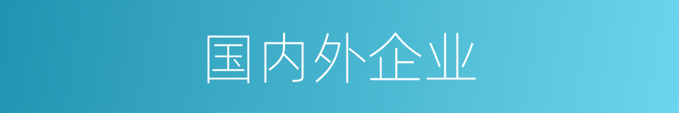 国内外企业的同义词