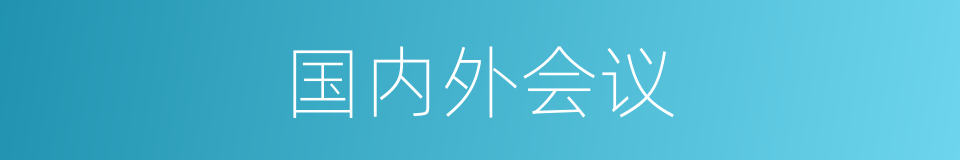 国内外会议的同义词