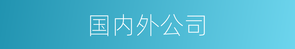 国内外公司的同义词