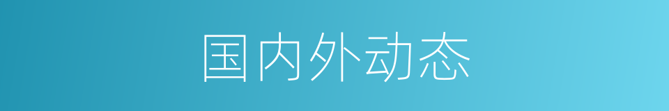 国内外动态的同义词