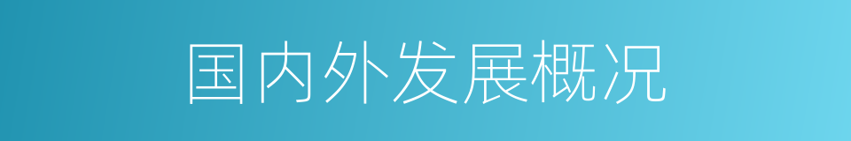 国内外发展概况的同义词