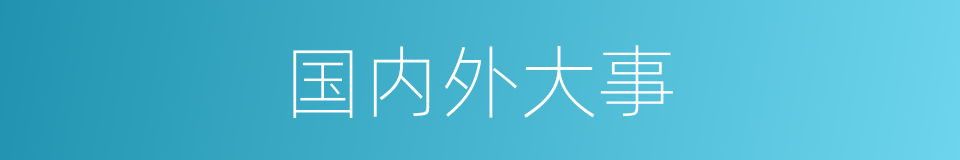 国内外大事的同义词