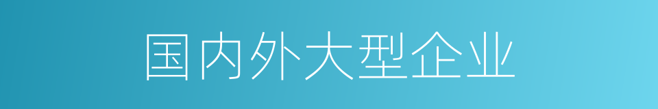 国内外大型企业的同义词