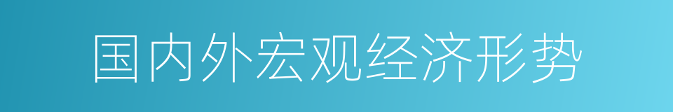 国内外宏观经济形势的同义词