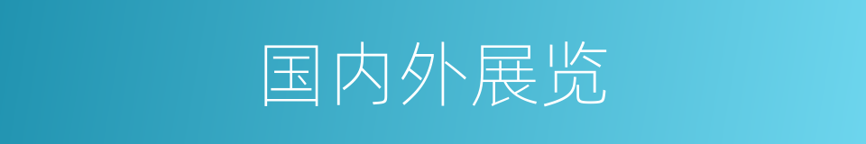 国内外展览的同义词