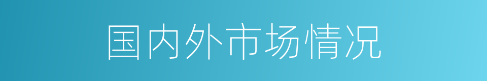 国内外市场情况的同义词