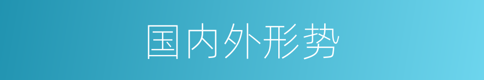 国内外形势的同义词